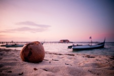 Coconut on the beach sand in Sipadan